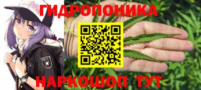 молекула духа Нальчик