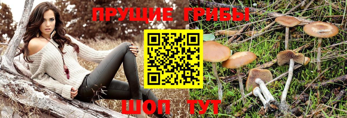 наркотики  Псилоцибиновые грибы Cubensis  Вход с VPN  Псилоцибиновые грибы Cubensis  Ханты-Мансийск 