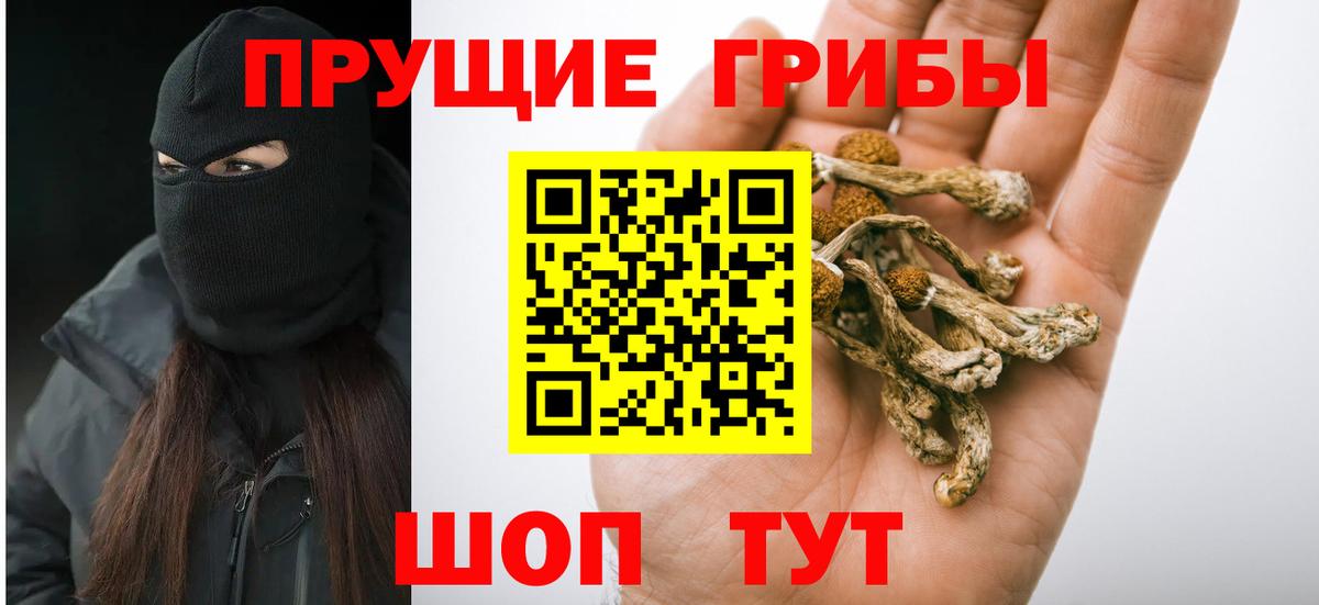 Псилоцибиновые грибы Cubensis Ханты-Мансийск